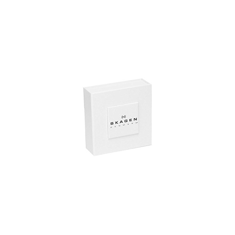 Skagen 32002745 Women's Bangle Stainless Steel, Stainless Steel, Silver