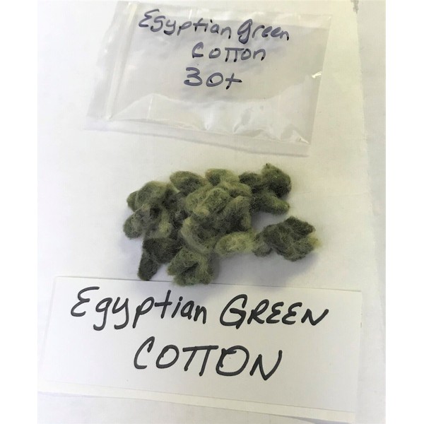 Unbranded 30 EGYPTIAN GREEN LINT Cotton Seed Extremely Rare Heirloom
