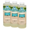 Salt Support Stain & Scale (1 qt) (3 Pack)