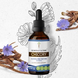 Secrets Of The Tribe Chicory Tincture Alcohol-FREE - 2 FL OZ