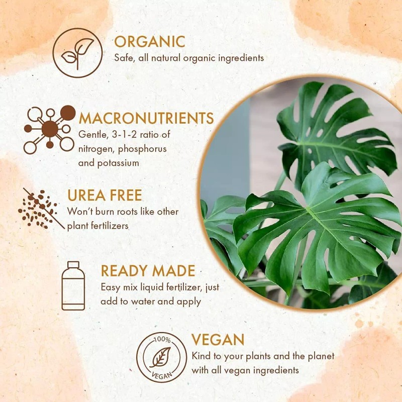 Alimento Orgánico Plantas Monstera Líquido Monstera Fertiliz