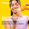 Vegan Multivitamin Gummies by Wellgard - Chewable Multivitamins Adults, 60