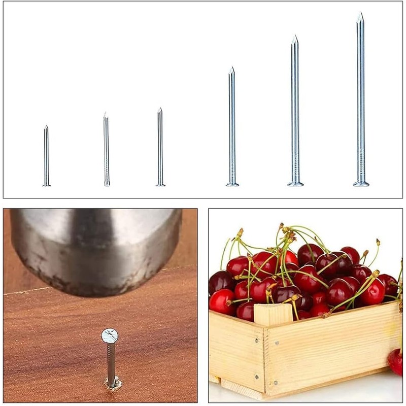 Flat Head Nails Assorted Picture Hanging Fencing Hardware Nail Assortment