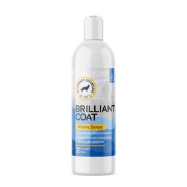 Dr. Boe's Veterinary Essentials BrilliantCoat Whitening Shampoo & Conditioner for Dogs & Cats – with Colloidal Oatmeal, Piña Colada Scent - Brightens & Hydrates Coat, Moisturizes Skin - 12 Fl Oz.