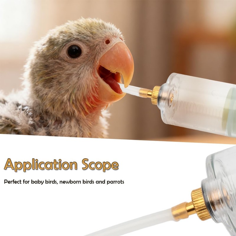 1 Set Small Bird Feeding Syringe Hand Feeding Tubes Kit