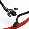 Eagle Lights Rear Lighting Harness with Turn Signal Plugs for
