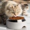 CatGuru Whisker Stress Free Cat Food Bowl, Reliefs Whisker Fatigue,
