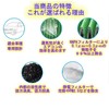 [Health Lief] Nissan Notebook, Aura Kicks Air Conditioner Filter, Special