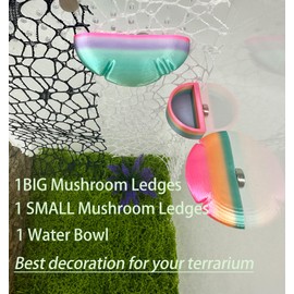 2 Pack Jumping Spider Enclosure Mushroom Ledges & 1 Pack Water Bowl with Magnets for Spoods Jumping Spiders Magnetic Ledge Ladder Pet Spider Accessories (Not Included The Terrarium) (colorful)