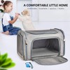 Henkelion Cat Carriers Dog Carrier Pet Carrier For Small /