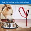 Head Halter for Dogs, Adjustable Dog Headcollar with 120 cm