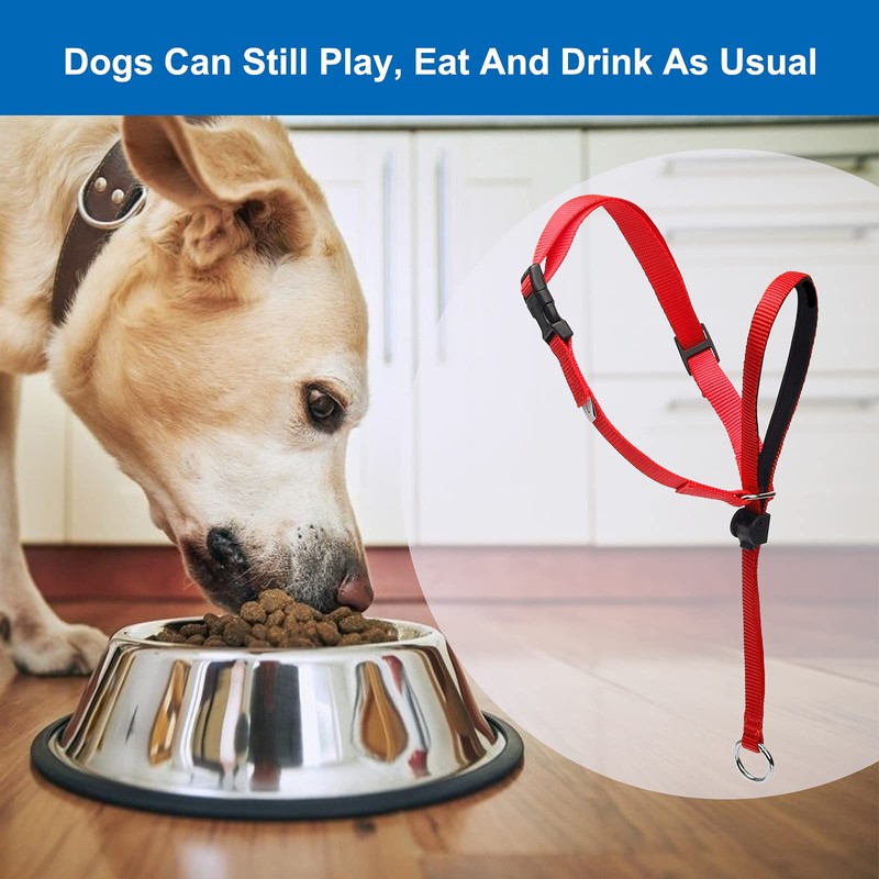 Head Halter for Dogs, Adjustable Dog Headcollar with 120 cm