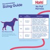 HALTI No Pull Harness Size Medium, Professional Dog Harness to