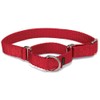 PetSafe Martingale Dog Collar - Safer Than Choke Chains -