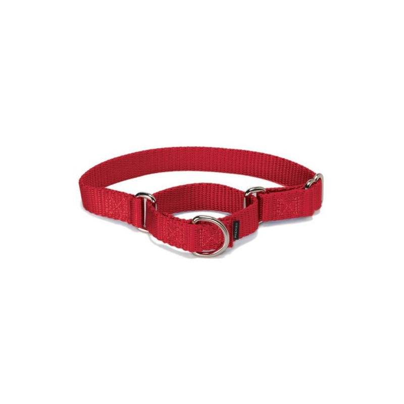 PetSafe Martingale Dog Collar - Safer Than Choke Chains -