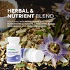 Wellsgoing Sleep Support Supplement, Herbal Blend with Magnesium Glycinate, L-Theanine,