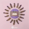 Volviendo al Origen Champú Sólido Lavanda 120g Volviendo Al Origen