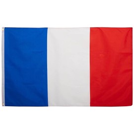DANF France Flag 3ftx5ft Polyester French National Flags with Brass Grommets 3x5 Foot Flag