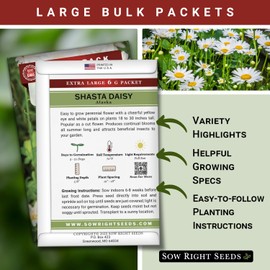 Sow Right Seeds - Shasta Daisy Flower Seeds for Planting - 6000 Seeds, 6 Grams - Non-GMO Heirloom Bulk Jumbo Pack with Instructions - Attract Butterflies - Grow Bountiful White Blossoms All Season