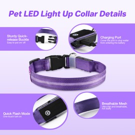 RUXAN Light Up Dog Collar,Dog Lights for Night Walking,LED Collars Waterproof,Glow Dog Collars Rechargeable,Dog Collars Light for Small,Medium,Large Dogs (Large,Purple)