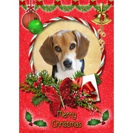 Beagle Christmas Card Red 'Merry Christmas' - Special Xmas Card for Him Her Kids Male Female
