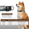 JYCardPKT Dog Collar, Adjustable Funny Pet Collar with Quick Release