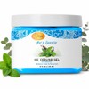 Spa Redi Ice Cooling Gel (16 oz - Mint &