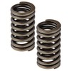 Metabo 882913M Head Valve Spring Replacement Part - 2 Pack,