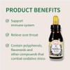 Apiario Silvestre Apiario Silvestre Brazilian Green Bee Propolis Liquid Glycolic