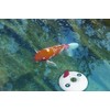 TFA 30.3160 Replacement Float Transmitter for Miami White/Blue