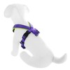 Pawtitas Pet Training Adjustable Reflective Padded Puppy Dog Harness Step