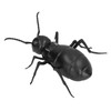 Ant Toy Infrared Remote Control Clear Texture Dynamic Lighting Remote
