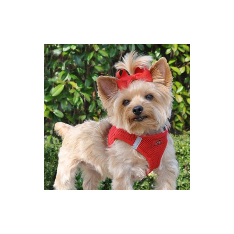 American River Ultra Choke Free Dog Harness (XXS, Red)