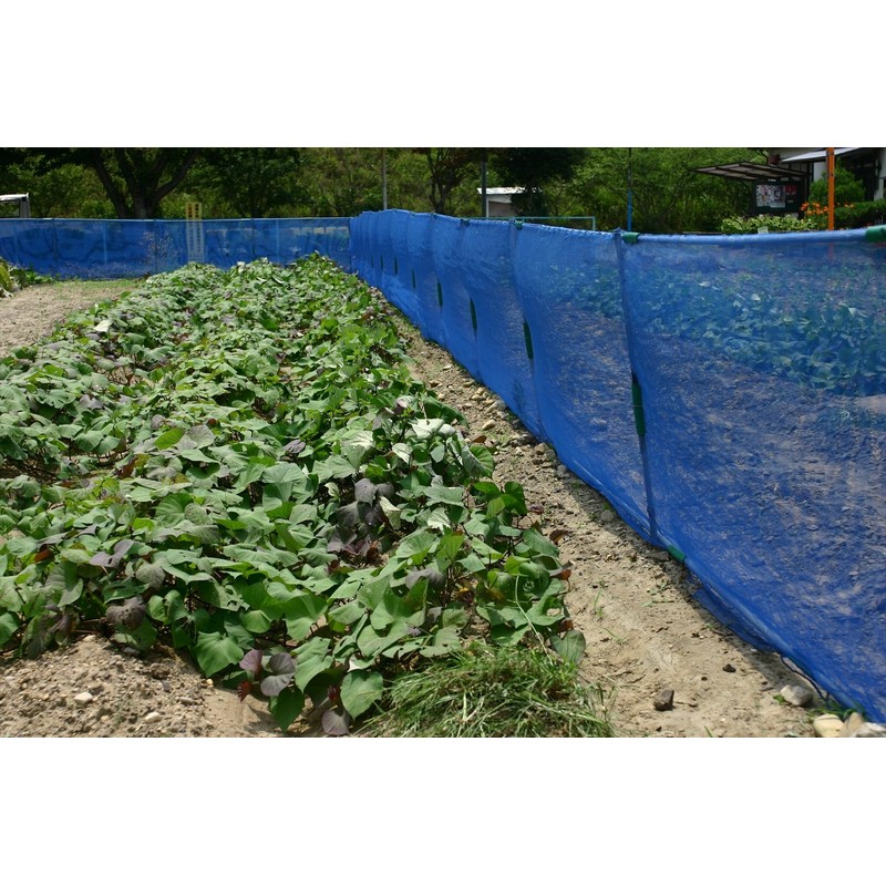 Dio Windproof Net 140 1 x 5m Blue