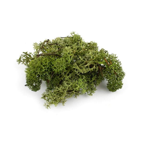War World Scenics Lichen Dark Green Moss Model Foliage 60g