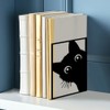 ACRNIGHEET 2 Pieces Metal Bookends for Shelves Cute Cat bookends