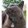 Kittyrama NEW Havana Cat Collar. Award Winning. As Seen in