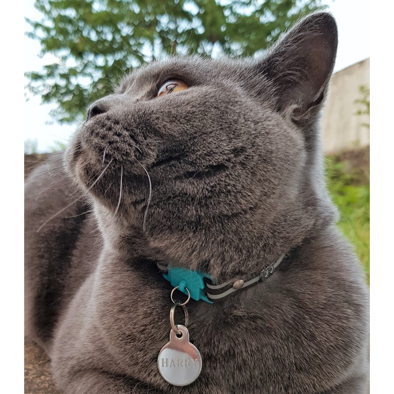 Kittyrama NEW Havana Cat Collar. Award Winning. As Seen in