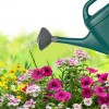 Alpertie Watering Can Rose Head, Plastic Replacement Sprinkler Head Spray