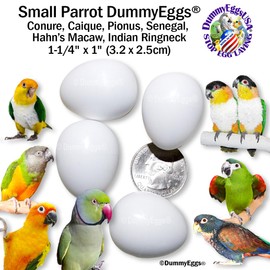 Plastic Small Parrot Dummy Eggs Stop Brooding Laying! 4 Solid Dummy Fake Non-Toxic White Realistic Eggs for Conure (not Green Cheek), Caique, Indian Ringneck DE Brand USA