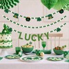 St Patricks Day Decorations 3 Pack Felt Pompom Banner Pre-Assembled