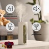 Mosslab Moss Air – Living Moss Terrarium Humidifier | Soothing