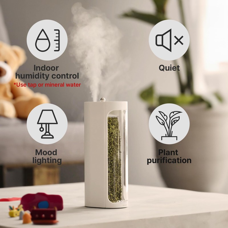 Mosslab Moss Air – Living Moss Terrarium Humidifier | Soothing