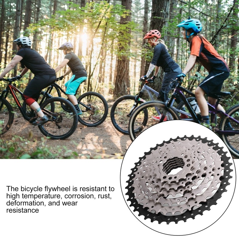 Bolany Mountain Bicycle Card Flywheel 8 Speed 42T Cassette Bike