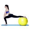 YogaAccessories Anti Burst and Slip Resistant Swiss Yoga Ball for