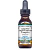 Appetite Improvement Complex Glycerite Liquid Extract (1:5) - Vanilla Flavored (1 oz, ZIN: 523458)