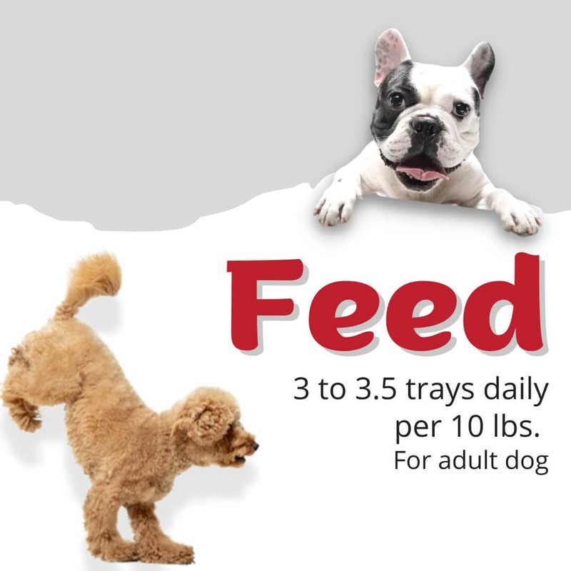HEART TO TAIL 15 Trays Wet Dog Food 3.5 OZ