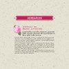 Helan, Oleolito di Rose Petals Almond Oil Elisir Anti-Wrinkle 15ml
