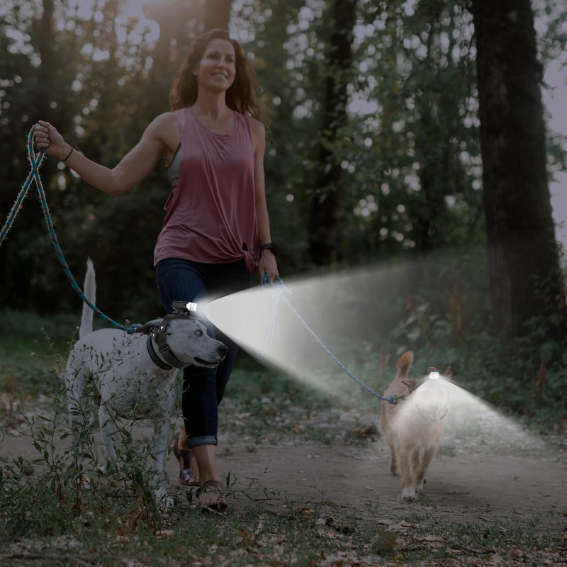 Dog Head Lights for Small and Medium Sized Dogs, 3