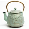 toptier Tea Kettle, TOPTIER Japanese Cast Iron Teapot with Infuser